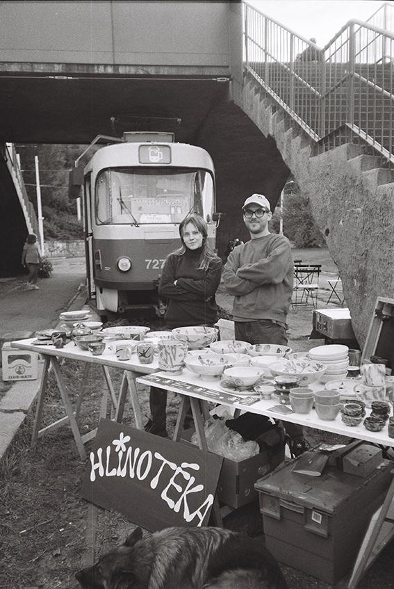 Hlinotéka